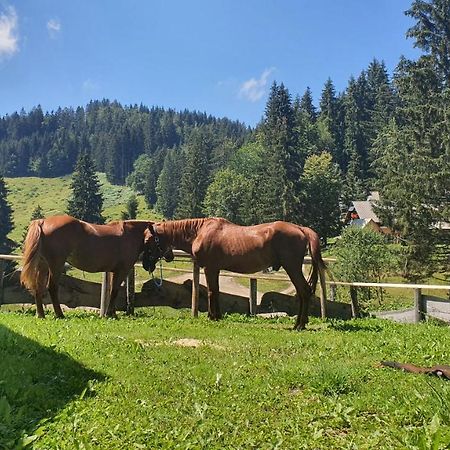 Koca Goska Ravan Hotel Kamna Gorica Luaran gambar