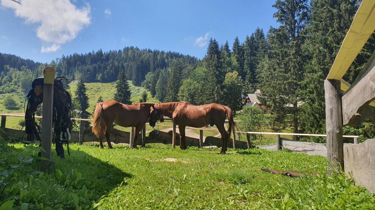 Koca Goska Ravan Hotel Kamna Gorica Luaran gambar